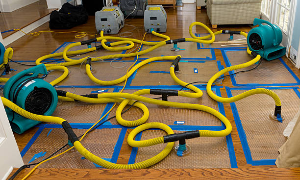 Professional Water Extraction technician working in Berkey, OH